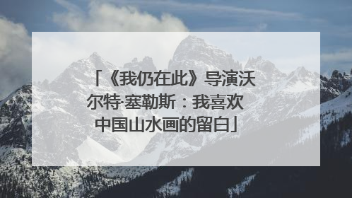 《我仍在此》导演沃尔特·塞勒斯：我喜欢中国山水画的留白