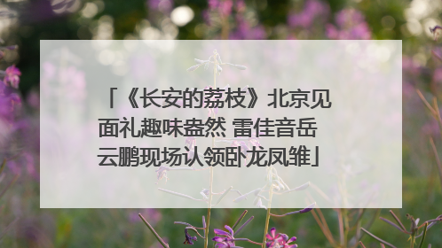 《长安的荔枝》北京见面礼趣味盎然 雷佳音岳云鹏现场认领卧龙凤雏