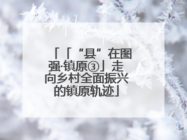 「“县”在图强·镇原③」走向乡村全面振兴的镇原轨迹