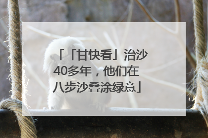 「甘快看」治沙40多年，他们在八步沙叠涂绿意