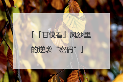 「甘快看」风沙里的逆袭“密码”