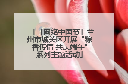 「网络中国节」兰州市城关区开展“粽香传情 共庆端午”系列主题活动