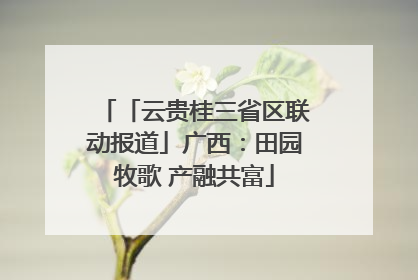 「云贵桂三省区联动报道」广西：田园牧歌 产融共富