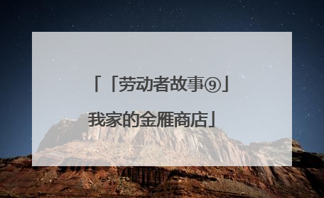 「劳动者故事⑨」我家的金雁商店