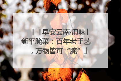 「早安云南·滇味」新平腌菜：百年老手艺，万物皆可“腌”