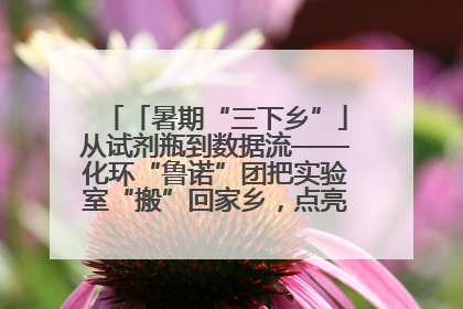「暑期“三下乡”」从试剂瓶到数据流——化环“鲁诺”团把实验室“搬”回家乡，点亮桑梓求知路