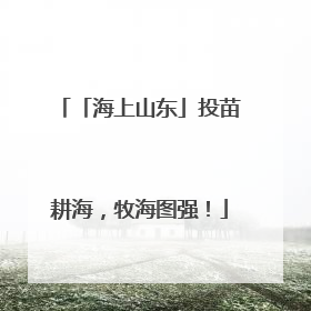 「海上山东」投苗耕海，牧海图强！