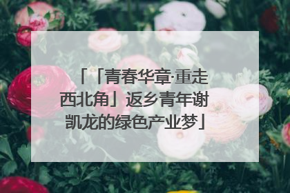 「青春华章·重走西北角」返乡青年谢凯龙的绿色产业梦
