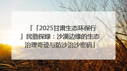 「2025甘肃生态环保行」民勤探绿：沙漠边缘的生态治理奇迹与防沙治沙密码