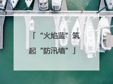 “火焰蓝”筑起“防汛墙”