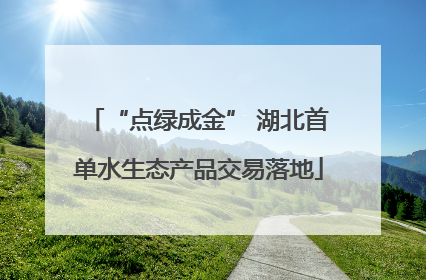 “点绿成金” 湖北首单水生态产品交易落地