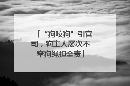 “狗咬狗”引官司，狗主人屡次不牵狗绳担全责