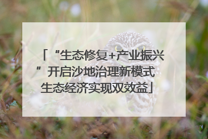 “生态修复+产业振兴”开启沙地治理新模式 生态经济实现双效益