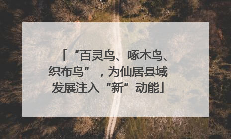 “百灵鸟、啄木鸟、织布鸟”，为仙居县域发展注入“新”动能