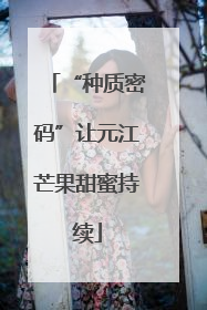 “种质密码”让元江芒果甜蜜持续