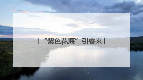 “紫色花海”引客来