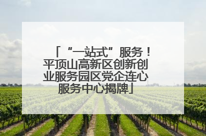 “一站式”服务!平顶山高新区创新创业服务园区党企连心服务中心揭牌