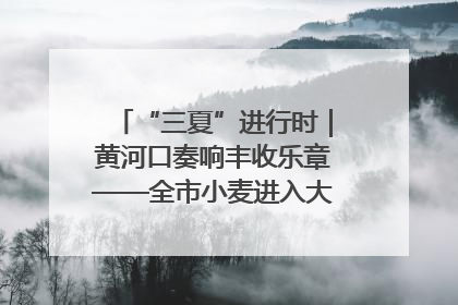 “三夏”进行时｜黄河口奏响丰收乐章——全市小麦进入大面积收获高峰期