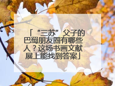 “三苏”父子的巴蜀朋友圈有哪些人？这场书画文献展上能找到答案