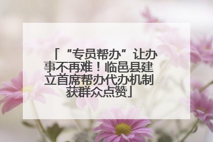 “专员帮办”让办事不再难！临邑县建立首席帮办代办机制获群众点赞