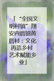 “全国文明村镇”翔安内厝镇黄厝村：文化再造乡村 艺术赋能乡业