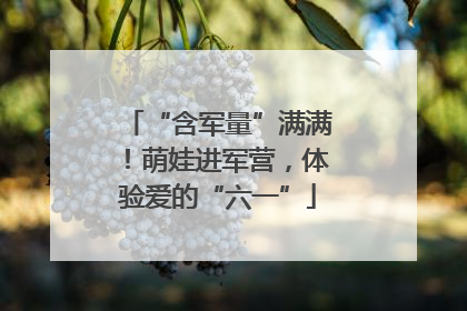 “含军量”满满！萌娃进军营，体验爱的“六一”