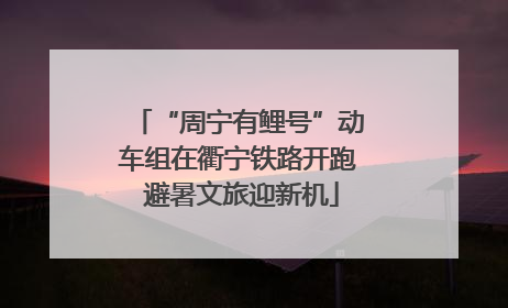 “周宁有鲤号”动车组在衢宁铁路开跑 避暑文旅迎新机