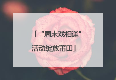 “周末戏相逢”活动绽放莆田