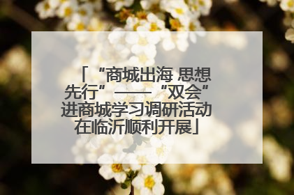 “商城出海 思想先行”——“双会”进商城学习调研活动在临沂顺利开展