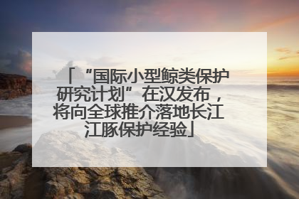 “国际小型鲸类保护研究计划”在汉发布，将向全球推介落地长江江豚保护经验