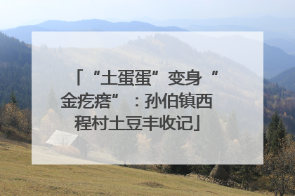 “土蛋蛋”变身“金疙瘩”：孙伯镇西程村土豆丰收记
