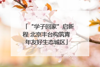 “学子回家”启新程 北京丰台构筑青年友好生态城区