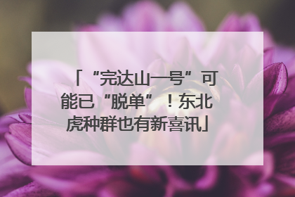 “完达山一号”可能已“脱单”！东北虎种群也有新喜讯