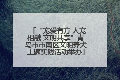“宠爱有方 人宠相融 文明共享”青岛市市南区文明养犬主题实践活动举办