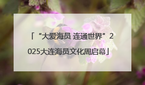 “大爱海员 连通世界”2025大连海员文化周启幕