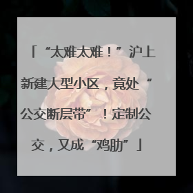“太难太难！”沪上新建大型小区，竟处“公交断层带”！定制公交，又成“鸡肋”