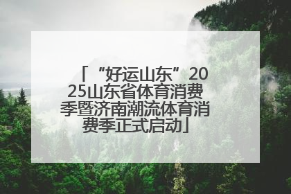 “好运山东”2025山东省体育消费季暨济南潮流体育消费季正式启动