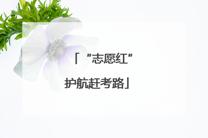 “志愿红”护航赶考路