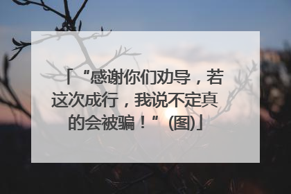 “感谢你们劝导，若这次成行，我说不定真的会被骗！”(图)