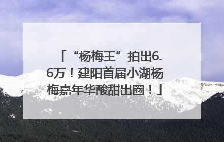 “杨梅王”拍出6.6万！建阳首届小湖杨梅嘉年华酸甜出圈！