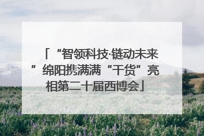 “智领科技·链动未来”绵阳携满满“干货”亮相第二十届西博会