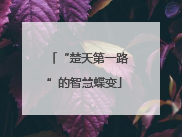 “楚天第一路”的智慧蝶变