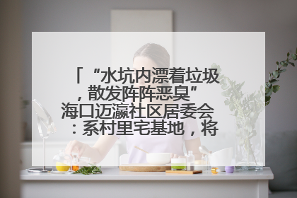 “水坑内漂着垃圾，散发阵阵恶臭” 海口迈瀛社区居委会：系村里宅基地，将派人打捞垃圾