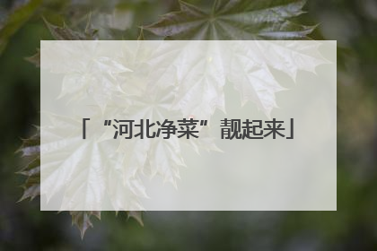 “河北净菜”靓起来