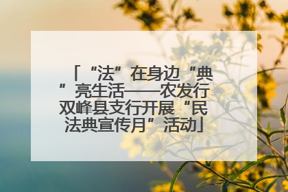 “法”在身边“典”亮生活——农发行双峰县支行开展“民法典宣传月”活动
