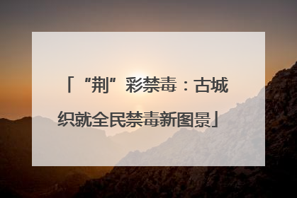 “荆”彩禁毒：古城织就全民禁毒新图景