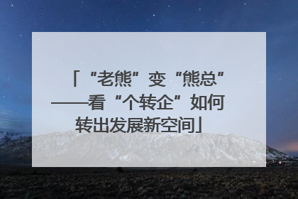 “老熊”变“熊总”——看“个转企”如何转出发展新空间