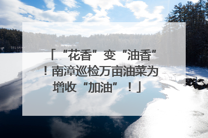 “花香”变“油香”！南漳巡检万亩油菜为增收“加油”！
