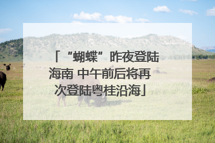 “蝴蝶”昨夜登陆海南 中午前后将再次登陆粤桂沿海