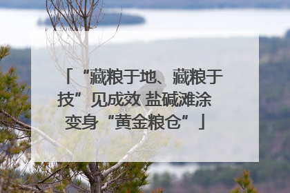 “藏粮于地、藏粮于技”见成效 盐碱滩涂变身“黄金粮仓”